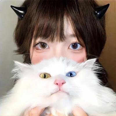 查科